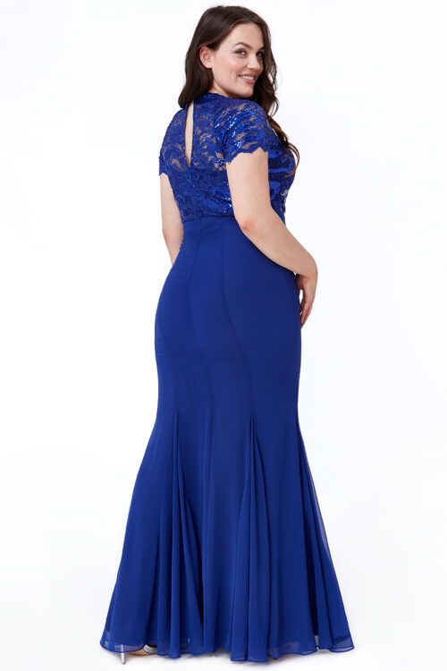 DR1554P_royalblue_back_l